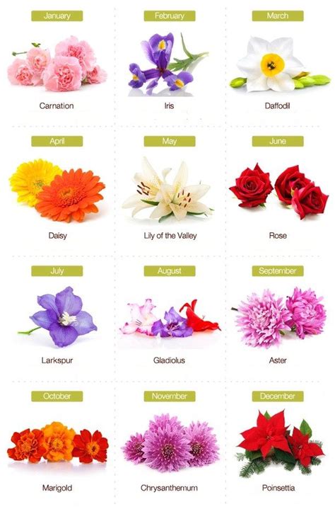 korean birth flower calendar.